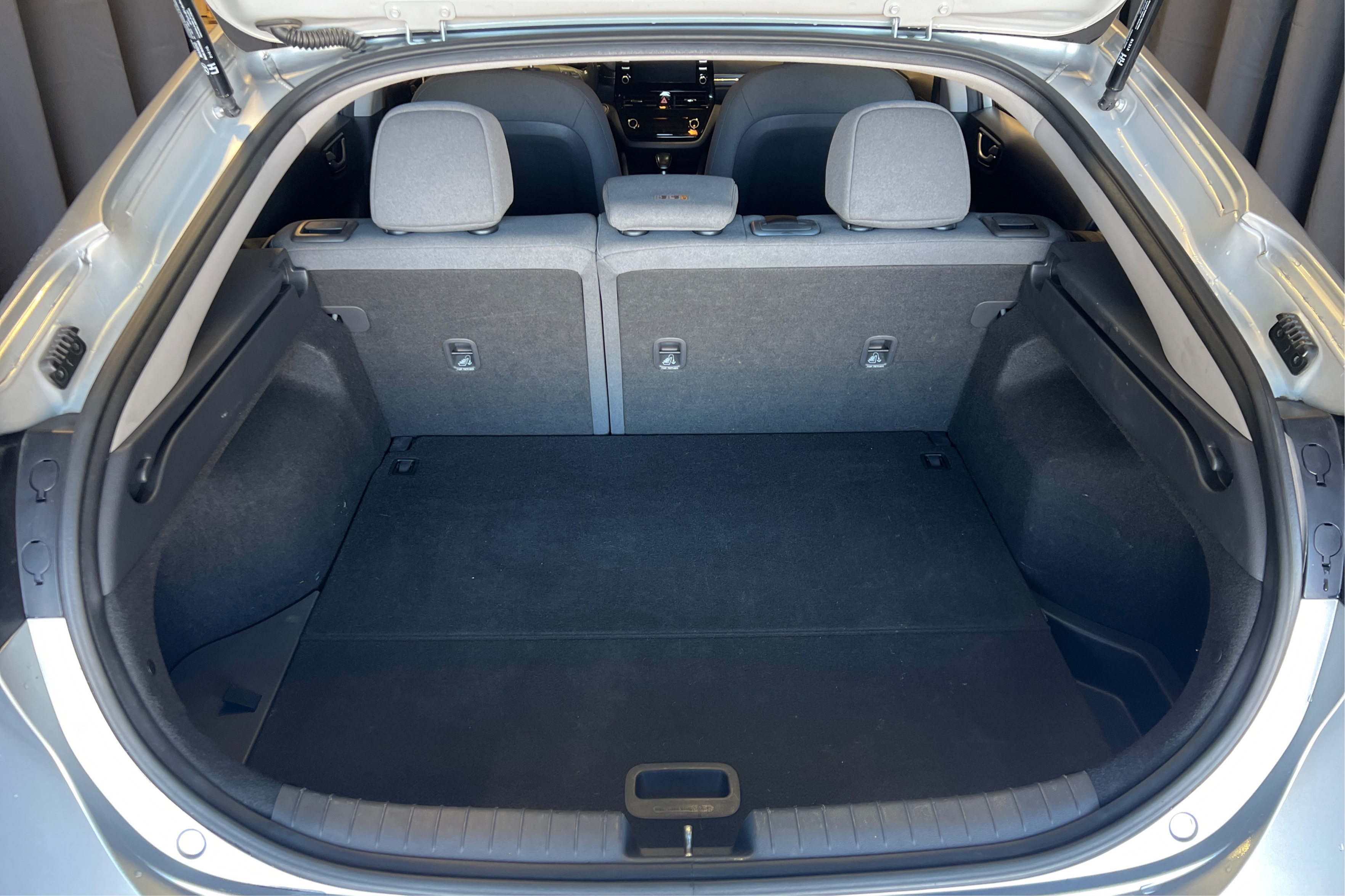 Trunk