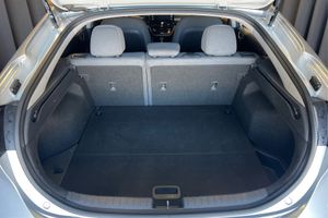 Trunk