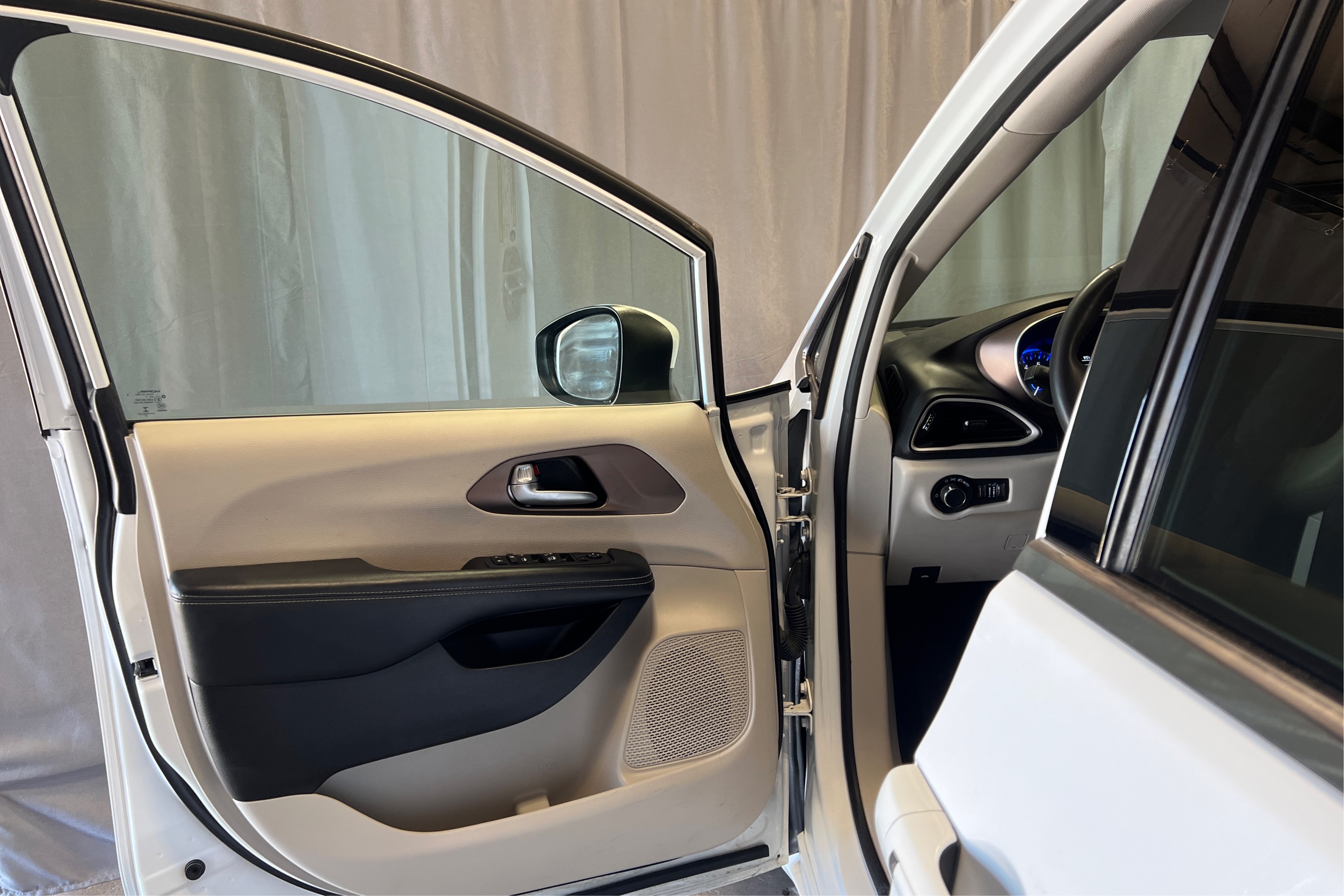 Driver Door Panel