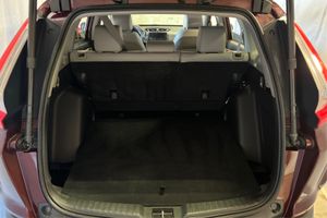 Trunk
