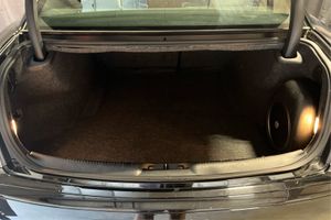 Trunk