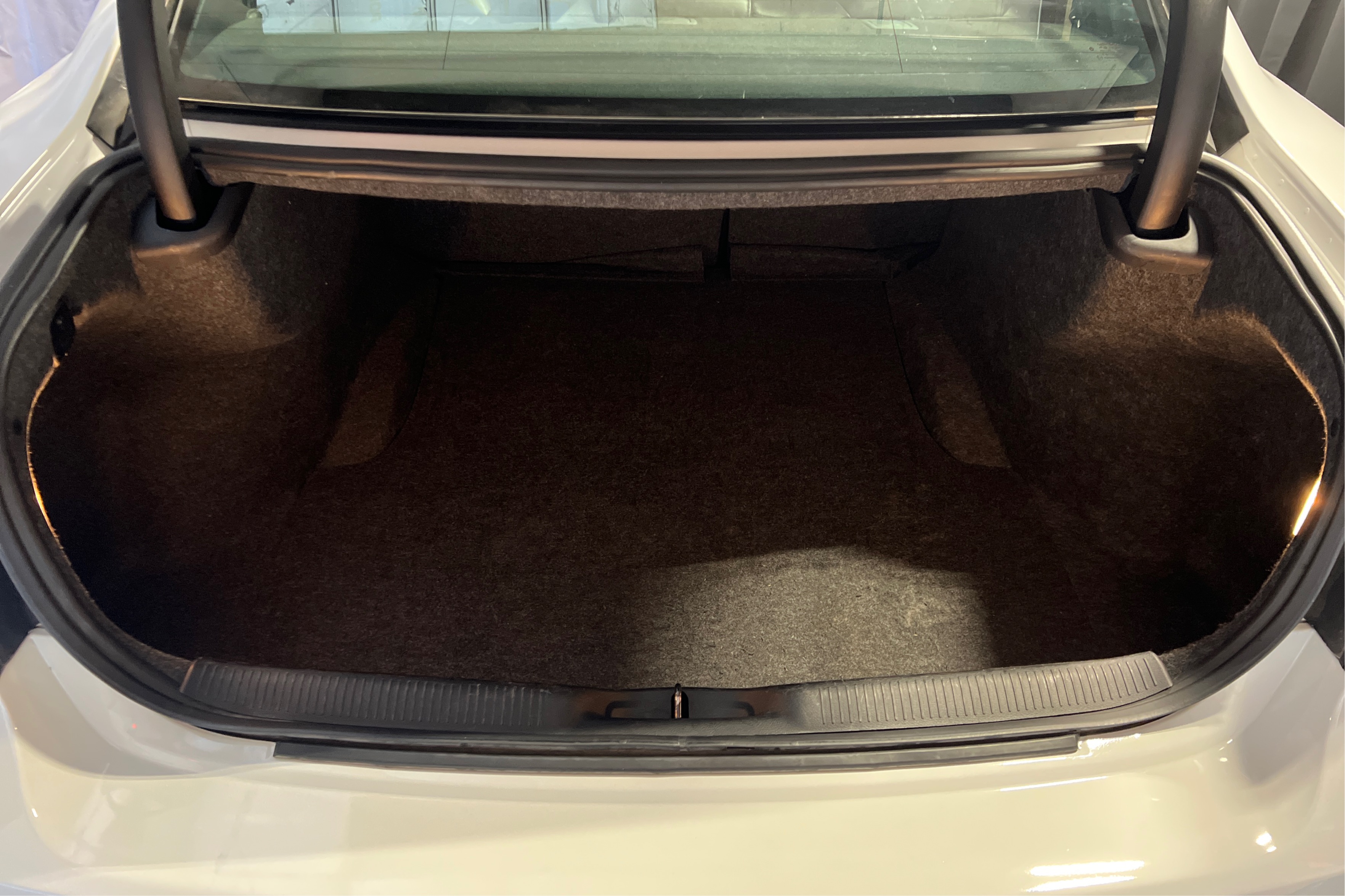 Trunk