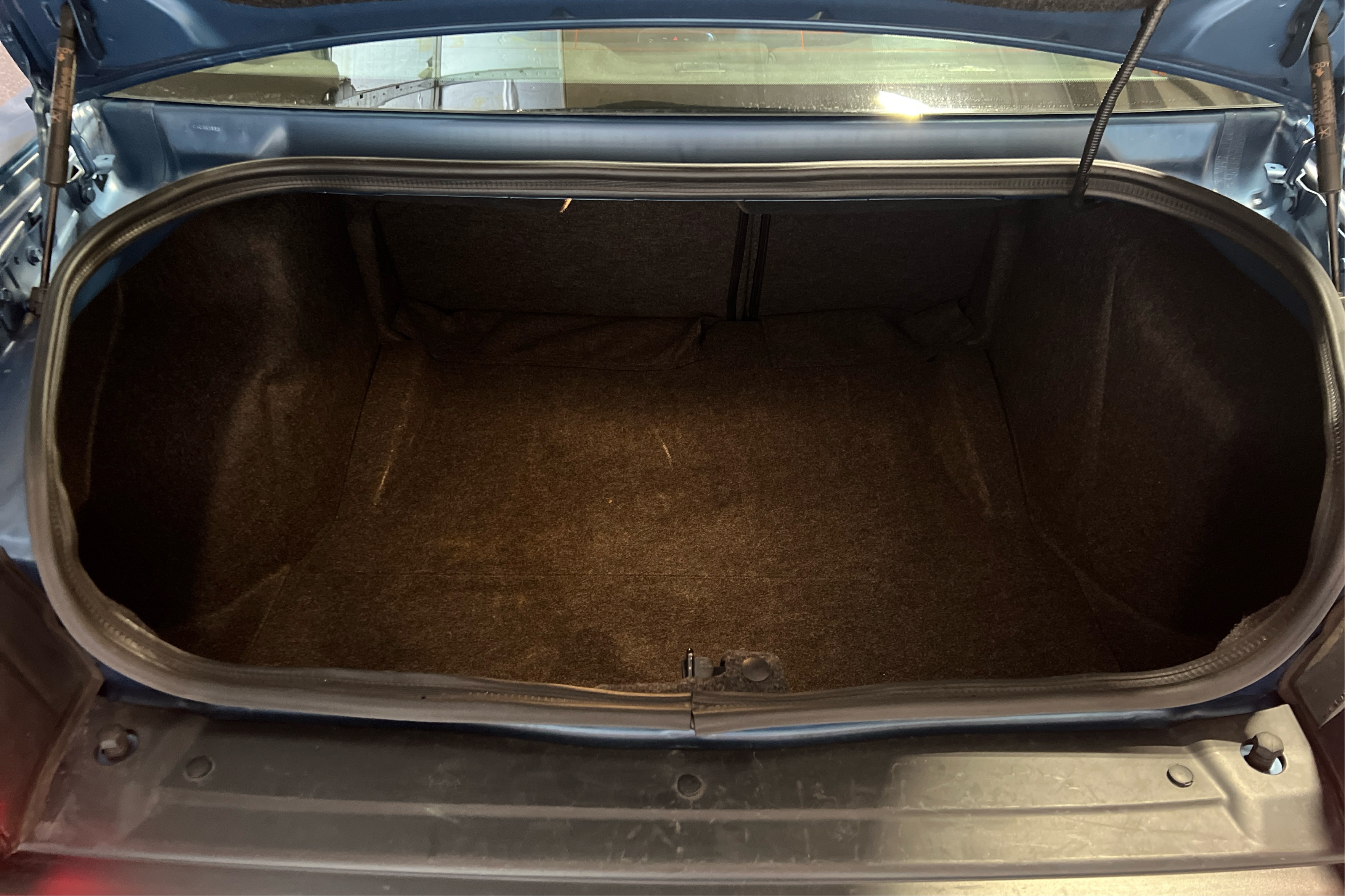Trunk