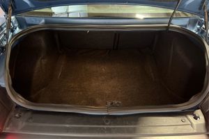Trunk