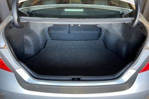 Trunk