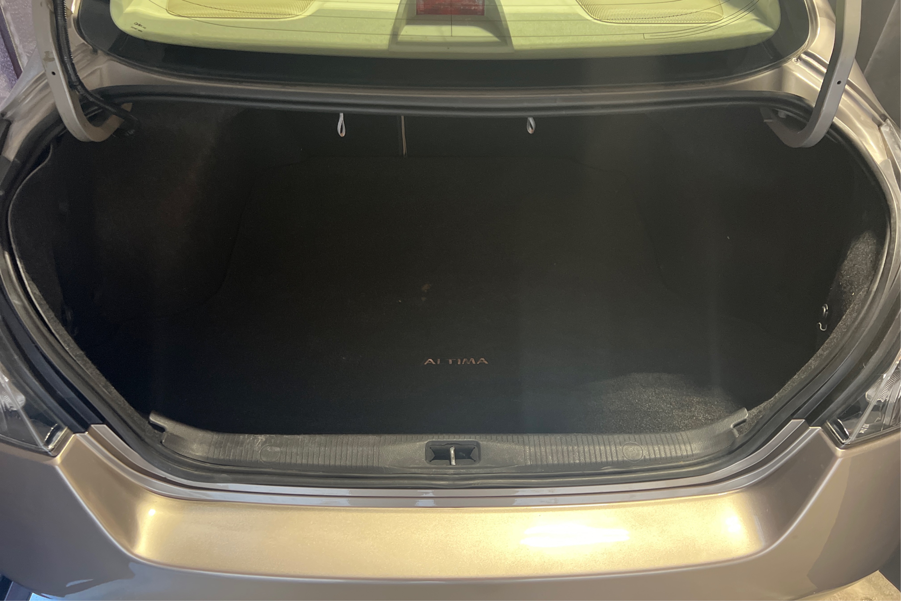 Trunk
