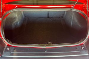Trunk
