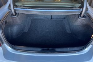 Trunk