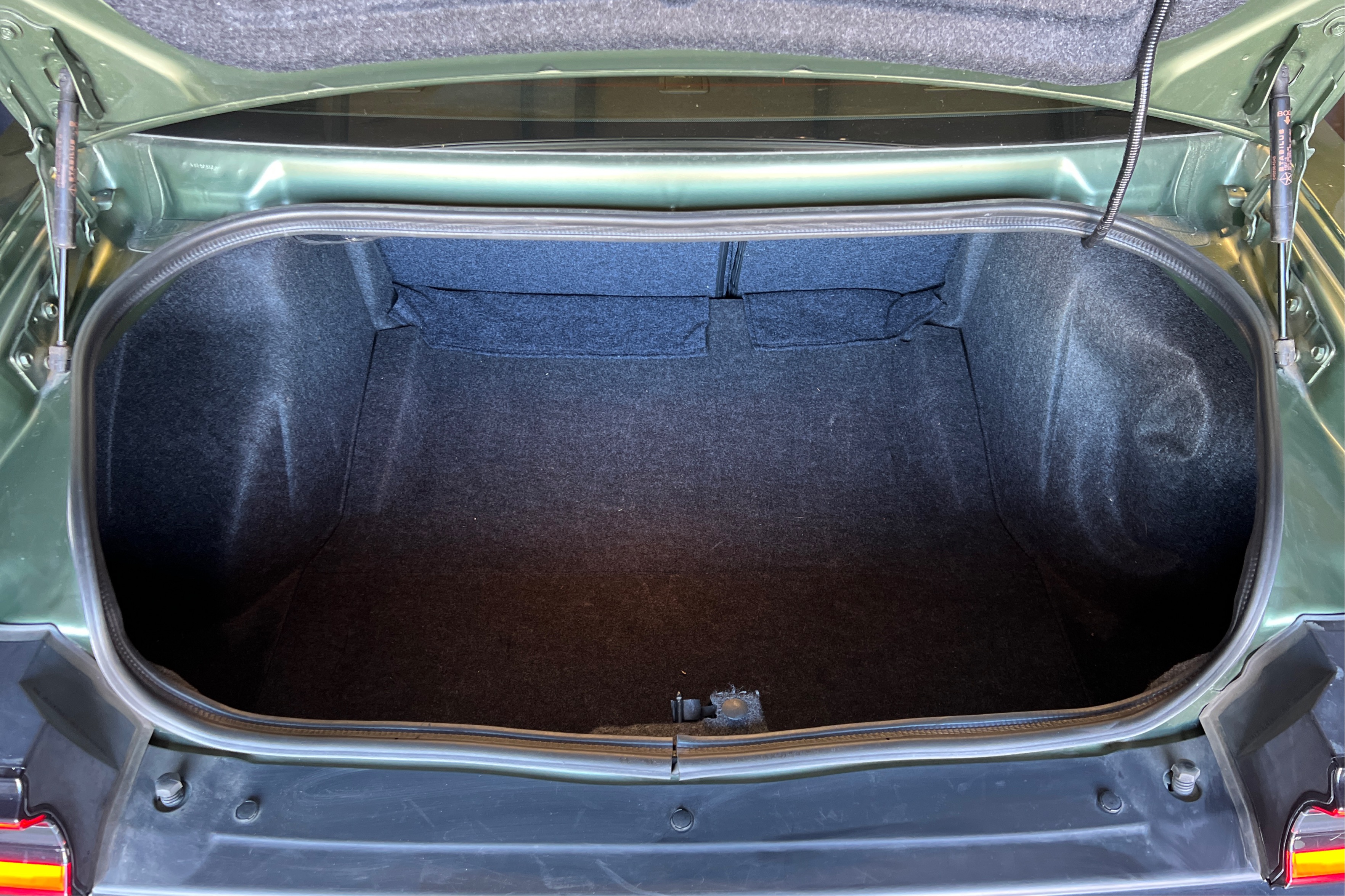Trunk