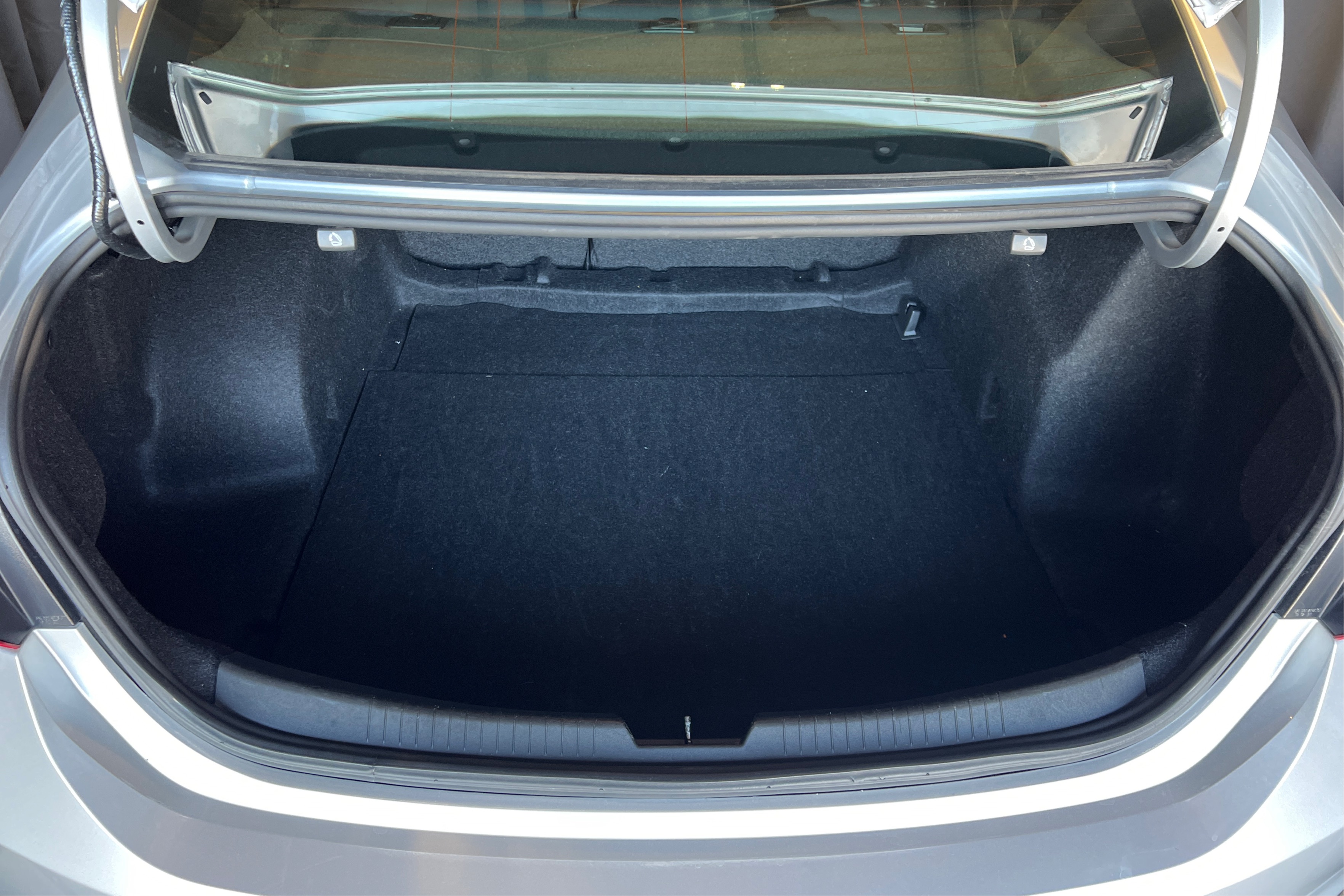 Trunk