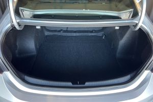 Trunk