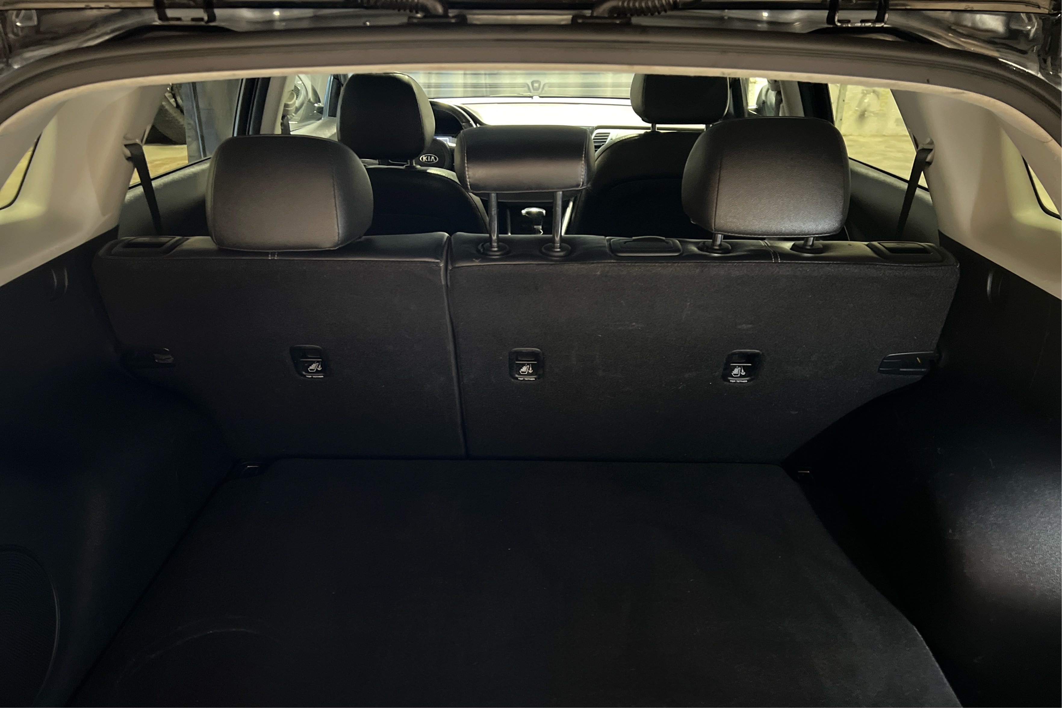 Trunk