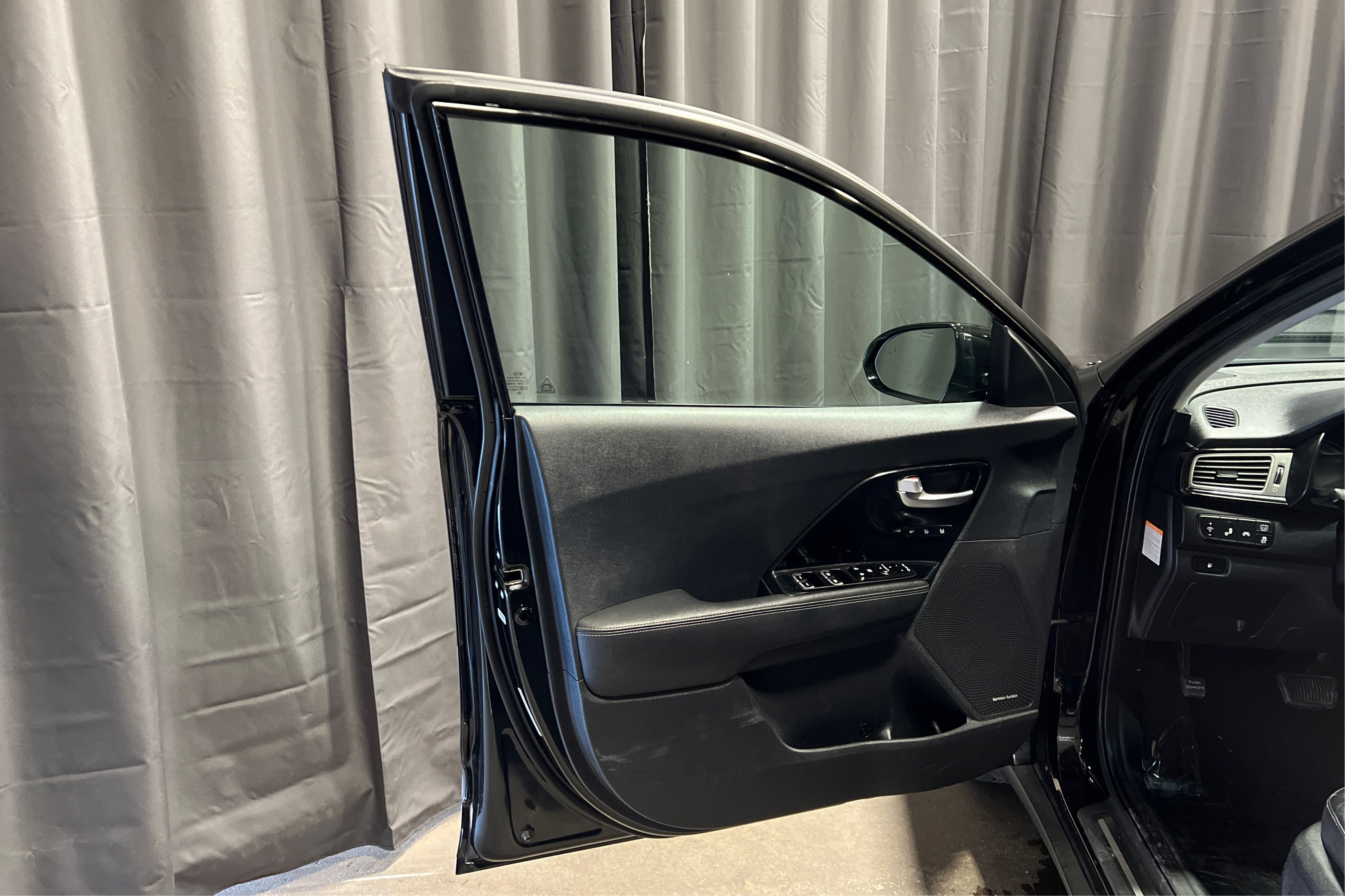 Driver Door Panel