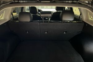 Trunk