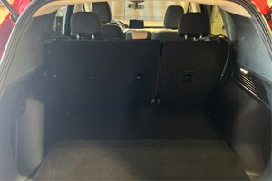 Trunk