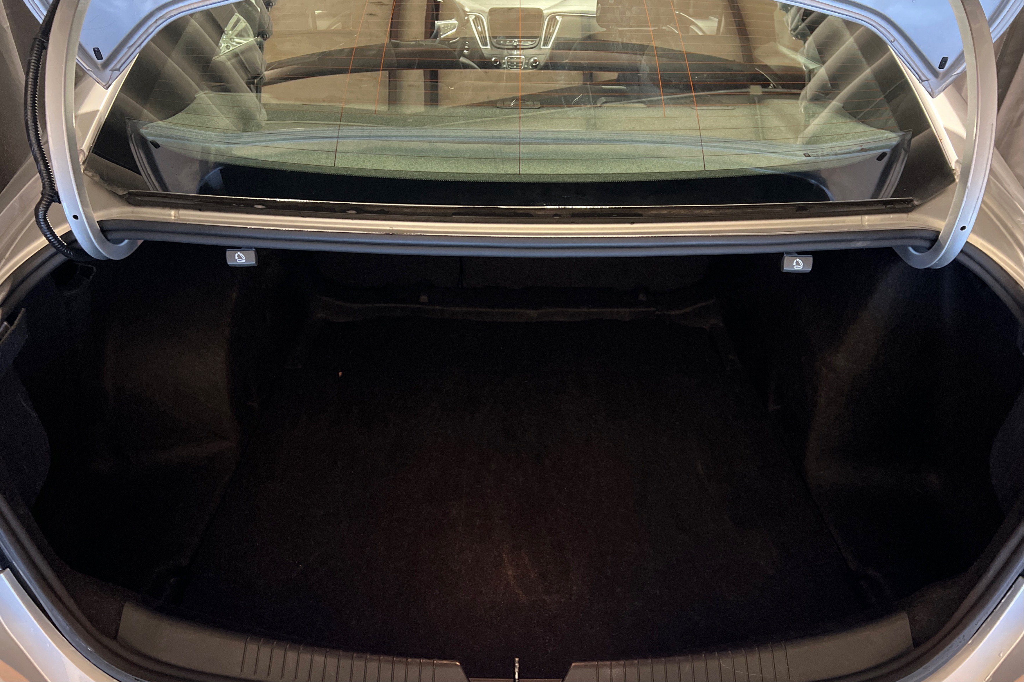 Trunk
