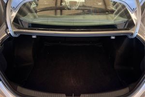 Trunk