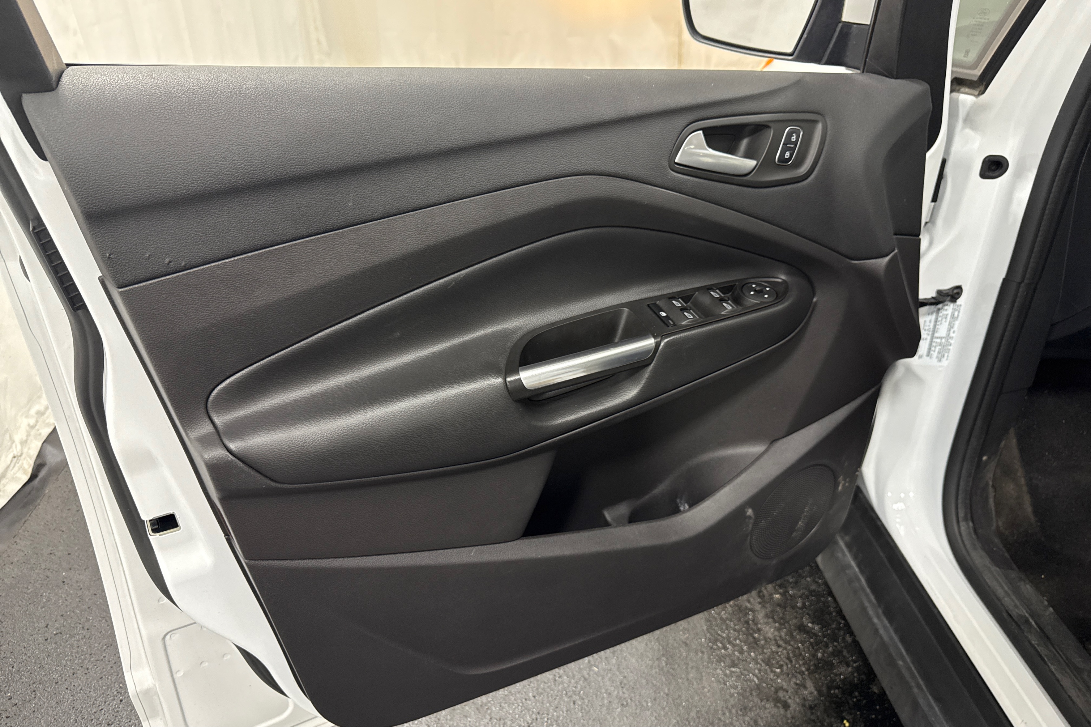 Driver Door Panel