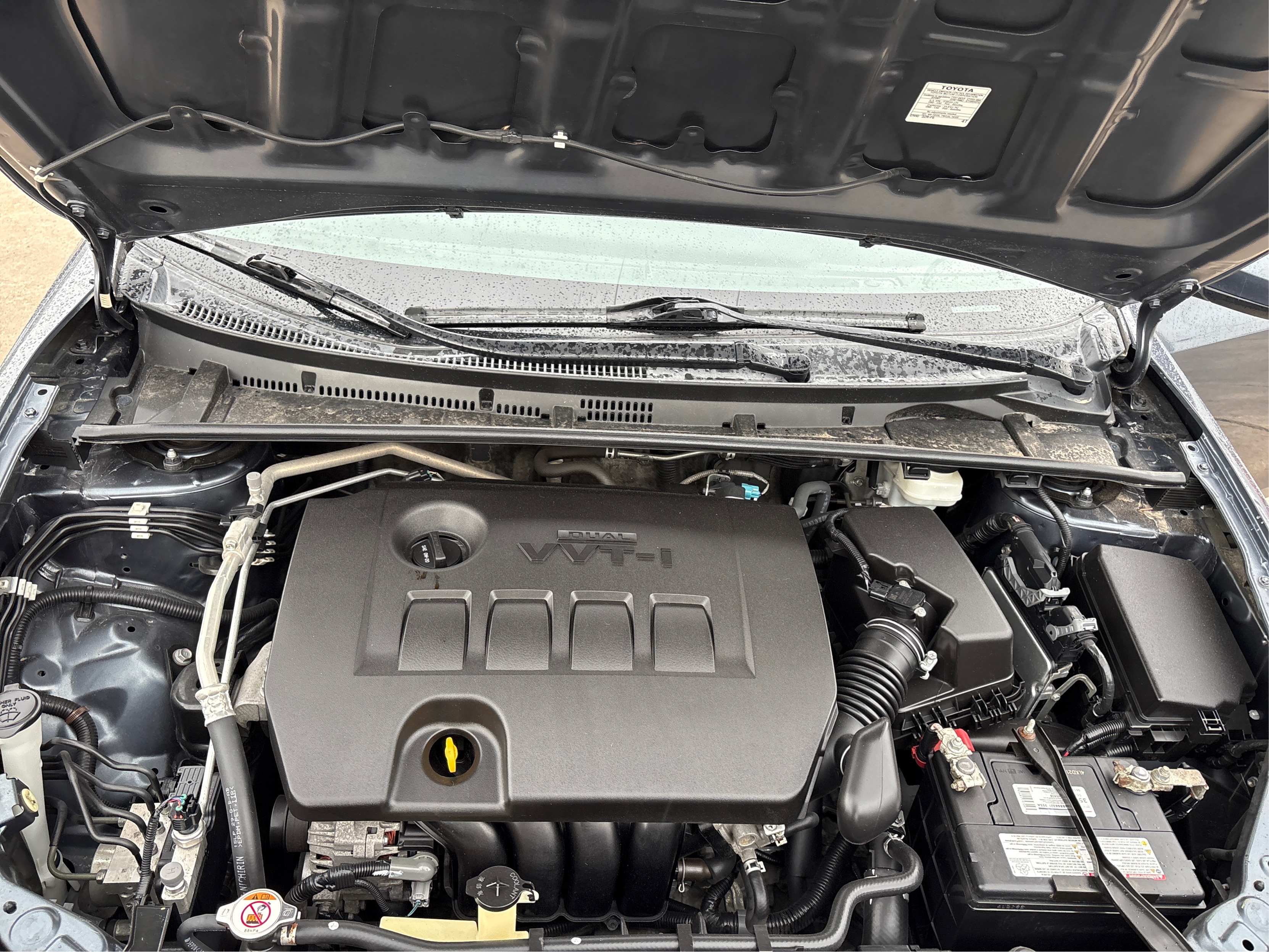 2019 Toyota Corolla LE - Photo 11