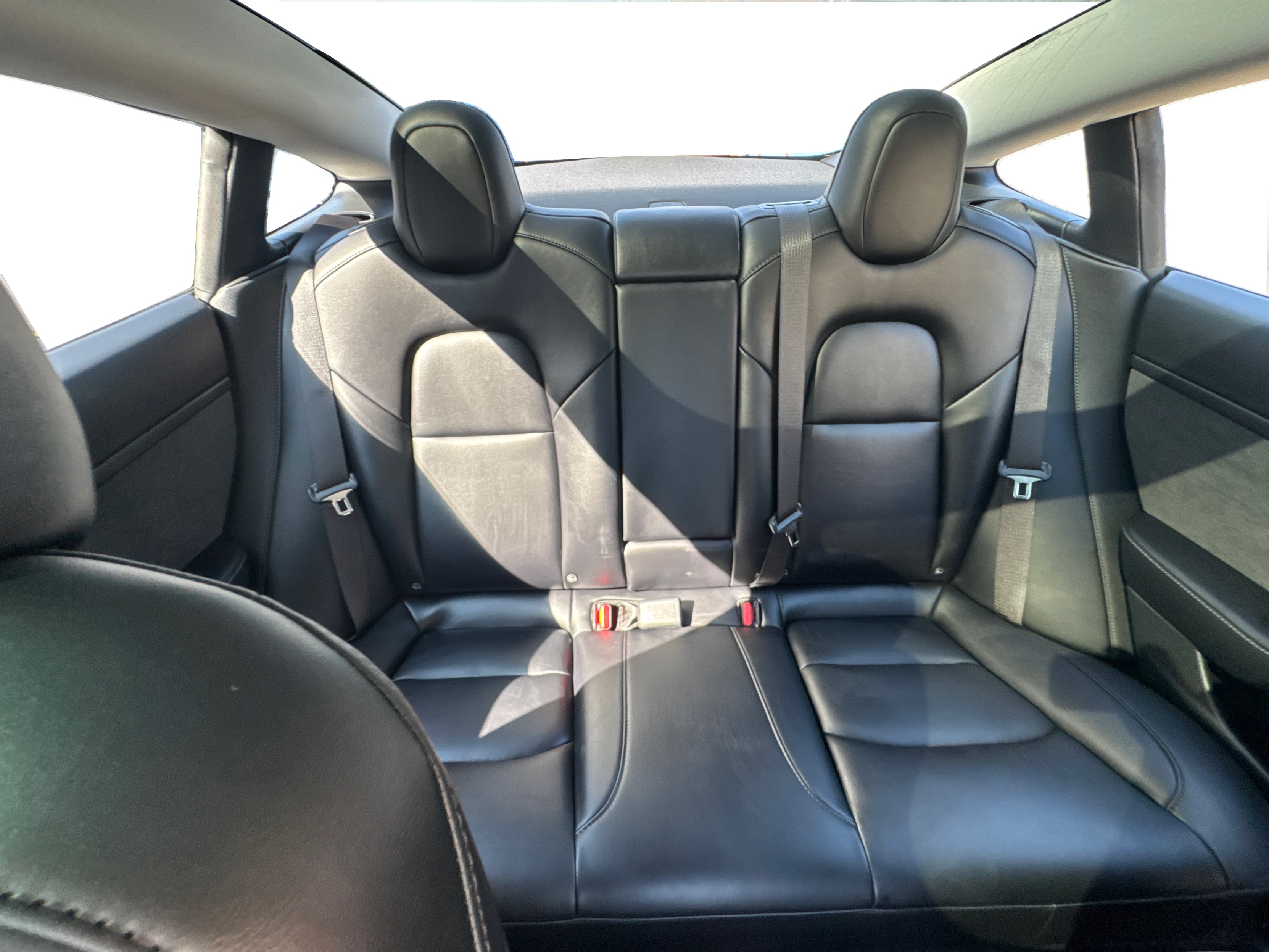 2023 Tesla Model 3 photo 9