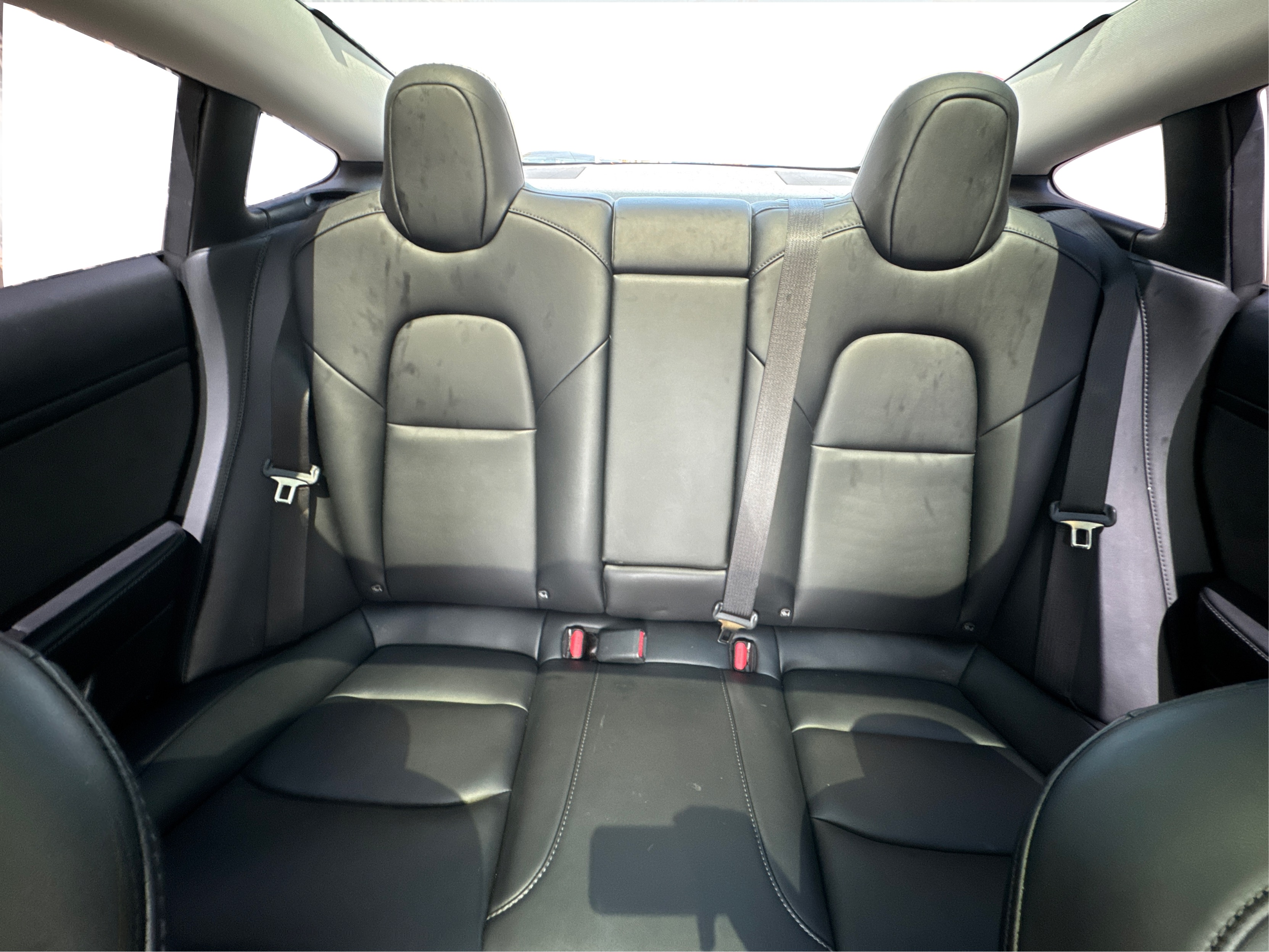 2022 Tesla Model 3 photo 9
